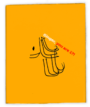 a book about Ginger